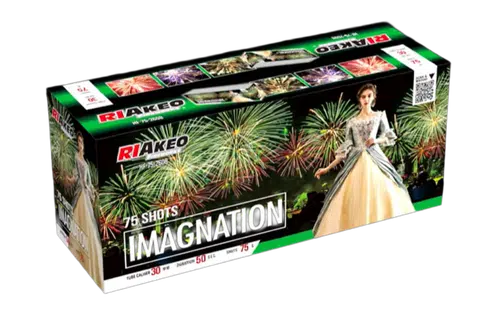 Imagination