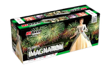 Imagination