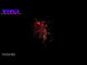 PRO FX VIVID FIREWORK (VIV25I-002)