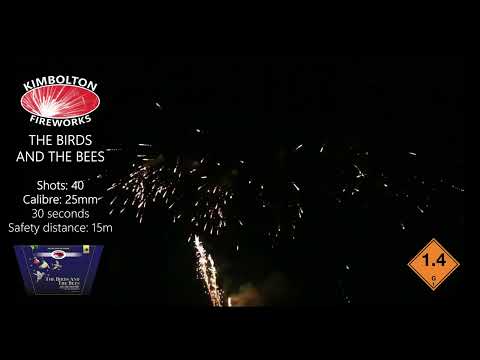 Birds and the Bees by Kimbolton Fireworks