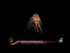 Stardust Rocket Pack
