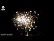 Angry Beaver By Evo Pyrotechnics ( Coming Soon For 2026 )