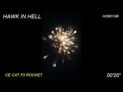 Hawk in hell