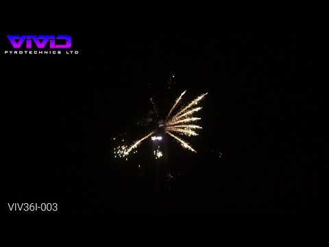 PRO FX VIVID FIREWORK ( VIV36I-002 ) Straight Firing